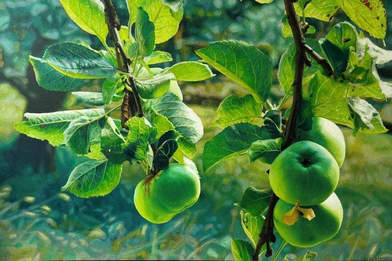 Pawel Wroblewski - Apples