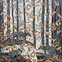 Kay Gibson Numbat Territory