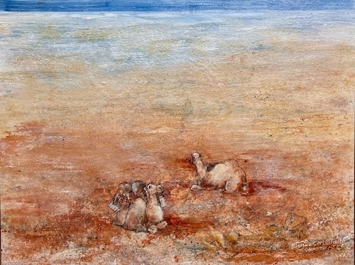 Simon Hemsley - Resting_ Simpson Desert Camel Trek