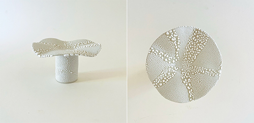 Rebekah Clark - Stingray XII