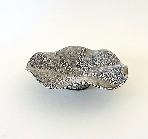 Rebekah Clark - Stingray XI