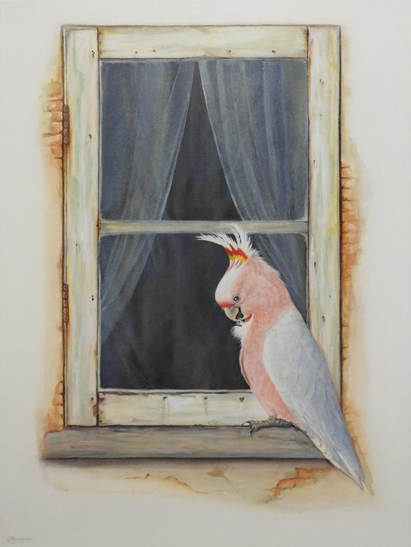 Paula Wiegmink - Feathers and Lace