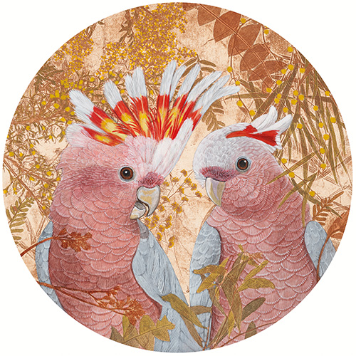 Kay Gibson - Major Mitchell Pair