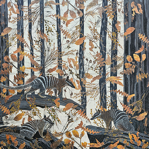 Kay Gibson - Numbat Territory