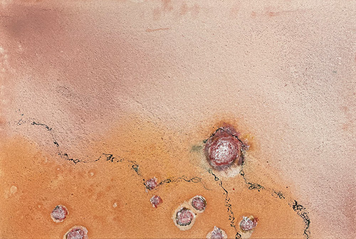 Simon Hemsley - Mound Springs_ South Australia