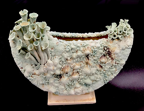 Beverley McMahon - Ark