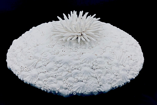 Beverley McMahon - Anemone