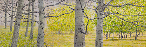 Lesley Meaney - Birch Groves on Kinross Loop