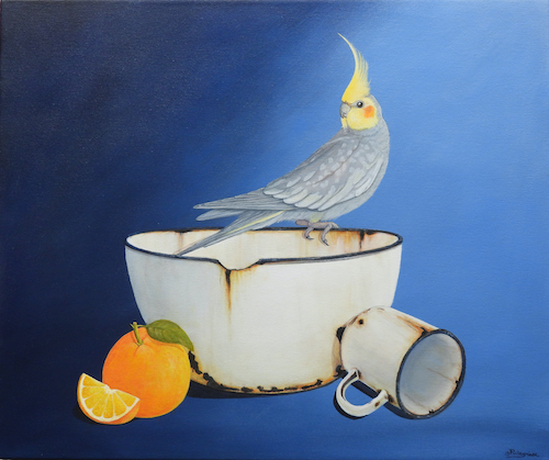 Paula Wiegmink - Blue Grey Cockatiel