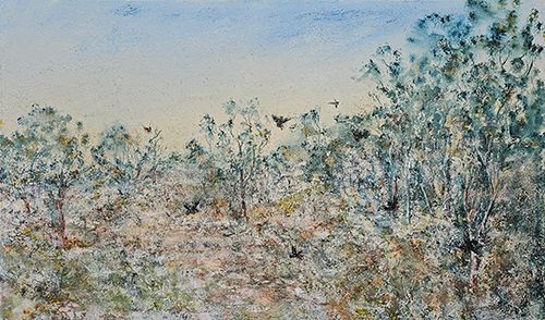 Simon Hemsley - Red Tails in the Jarrah Forest