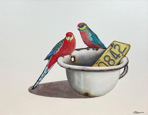 Paula Wiegmink - Parrots_ Plat and Pot