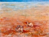 Simon Hemsley Resting_ Simpson Desert Camel Trek