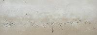 Belinda Birchall Ballad to the Intertidal