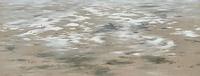 Belinda Birchall Receding Puddles