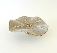 Rebekah Clark Stingray V