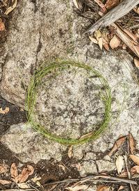 Caroline Christie - Coxon Spirit Wood III 2024