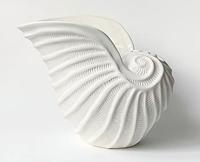 Dariya Gratte Naurilus Dreaming
