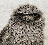 Kay Gibson Young Tawny