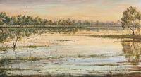 Flooded Wetland on the Meda