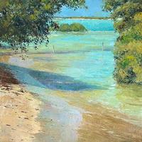 Mangroves_ Willy Creek