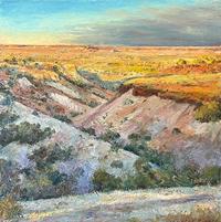 Pianted Desert Evening