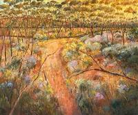 Woodlands_ Caves Hill