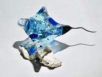 Blue Eagle Ray