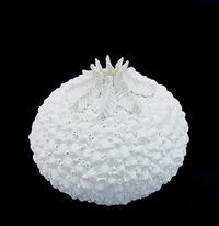 Crown Top with Baby Shells Sphere