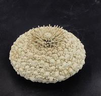Beverley McMahon Copper Spike on Baby Shell Pod