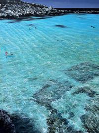 Summer Loving_ Rottnest