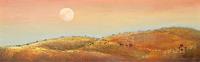 Paula Wiegmink Moonlight over the Pilbara