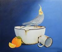 Paula Wiegmink Blue Grey Cockatiel