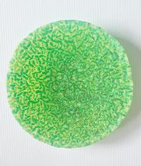 Claire Thomas Green Matter