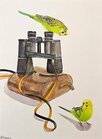 Paula Wiegmink Bird Watching