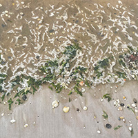 Belinda Birchall A Devotion