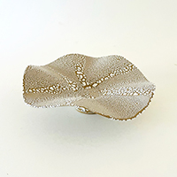 Rebekah Clark Stingray V