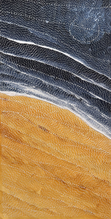 Sarrita King - Earth Elements