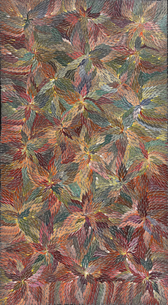 Bernadine Johnson Kemarre Bush Medicine Leaves