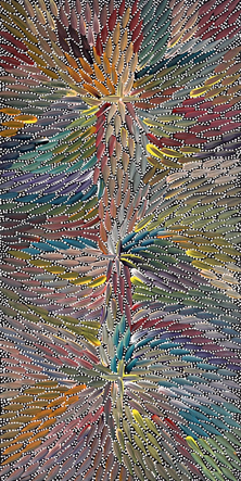 Bernadine Johnson Kemarre Bush Medicine Leaves