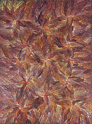 Bernadine Johnson Kemarre Bush Medicine Leaves