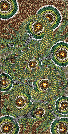 Colin Jones Rainforest Python