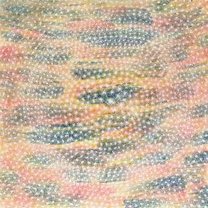 Joycie Jones Petyarre Yam Seeds