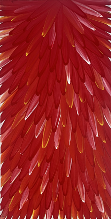 Raymond Walters Penangk Ankerre Jukurrpa (Feathers)