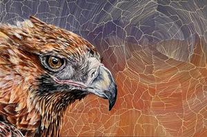 Sarrita King & Tegan Hamilton Eagle and Ngurra