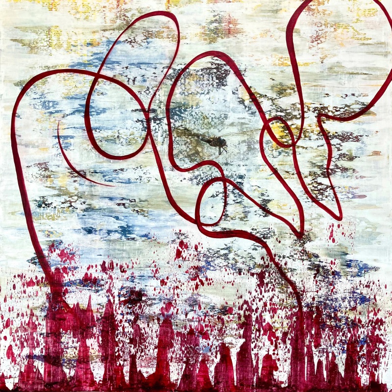 Dance of the Dragonfly - SIEGLINDE VAN DAMME