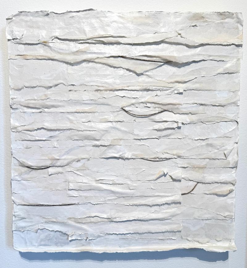  - Blair Vaughn-Gruler