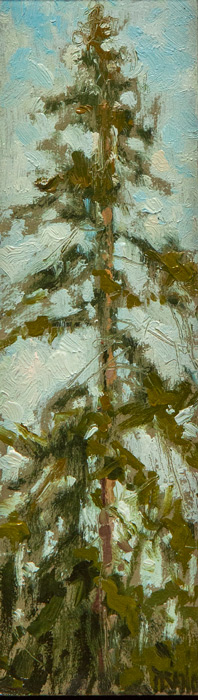 Islesboro Pine by Crista Pisano at Sylvan Gallery - CRISTA PISANO