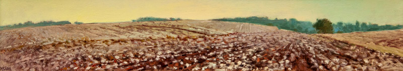 Lush Cotton by Crista Pisano at Sylvan Gallery - CRISTA PISANO