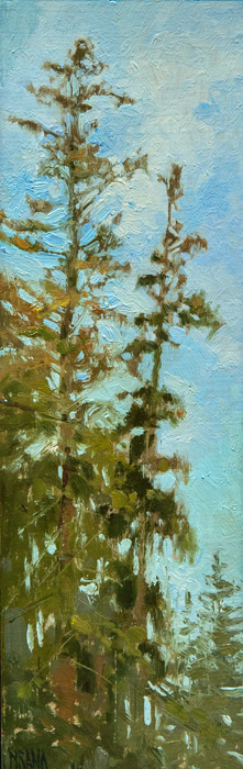 Two Pines_ South Bristol by Crista Pisano at Sylvan Gallery - CRISTA PISANO