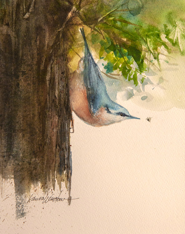 Nuthatch by Laura Winslow at Sylvan Gallery - LAURA WINSLOW